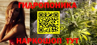ALPHA PVP Ярославль