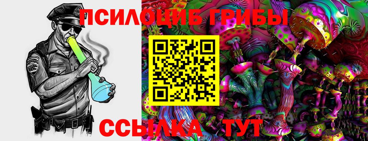 Псилоцибиновые грибы Psilocybe  Вход с VPN  Кострома  закладка  Псилоцибиновые грибы Psilocybine cubensis 