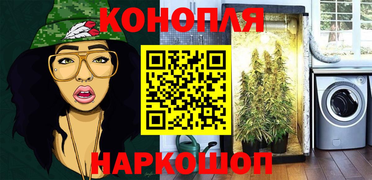 Бошки марихуана планчик Кострома